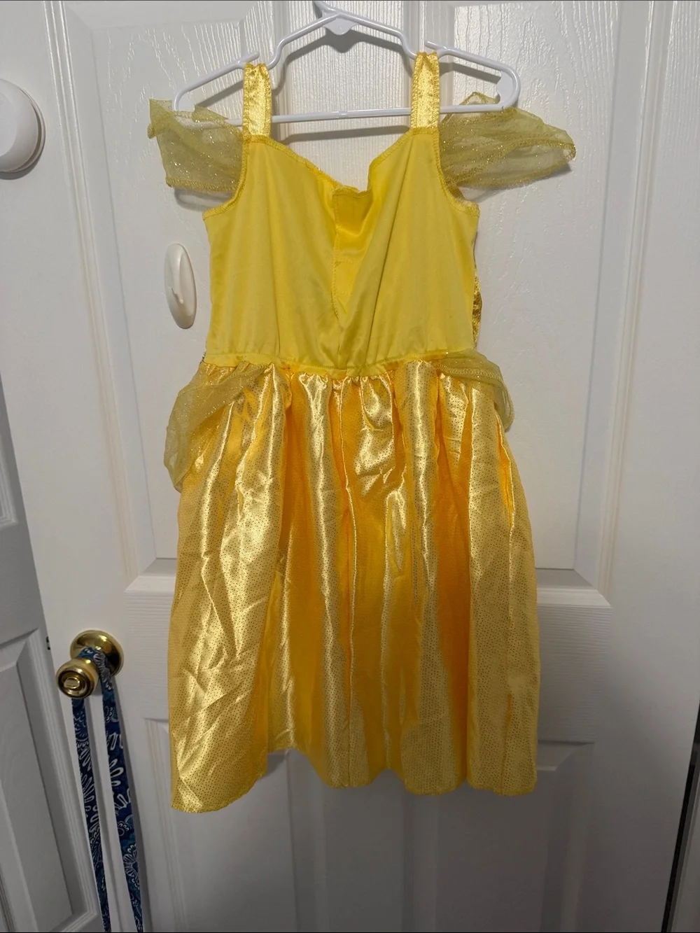 Disney children’s play wardrobe or costumes. There are nine dresses